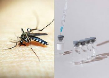 Alerta: Ministério da Saúde suspende vacina da dengue para investigar mortes